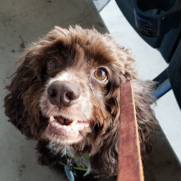 Meet your Posher, Kelly - Picture 1 of 1